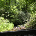 DSCN0578